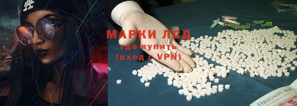 стаф Алзамай