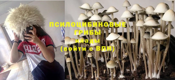 амфетамин Алексин