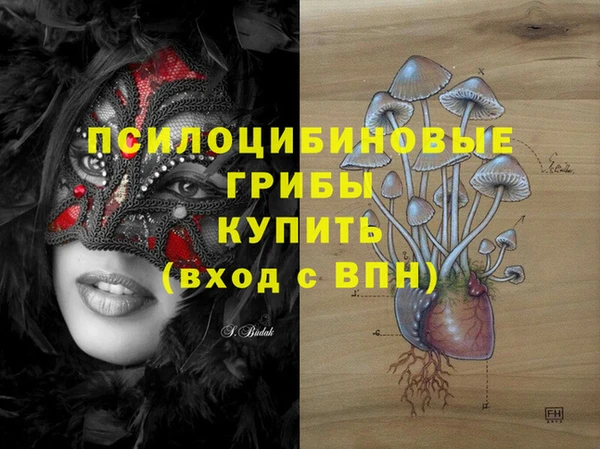 амфетамин Алексин