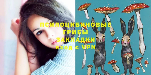 амфетамин Алексин