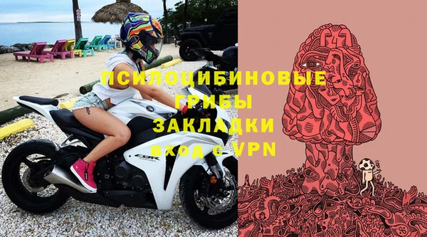 стаф Алзамай