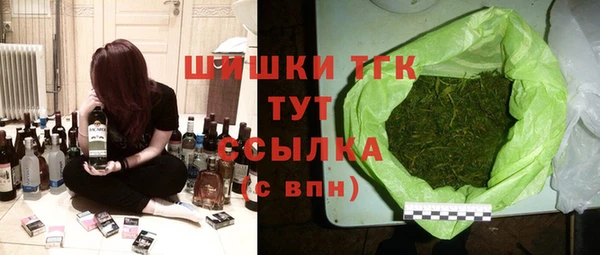 дмт Осинники