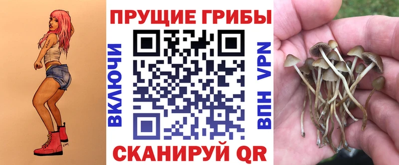 Псилоцибиновые грибы GOLDEN TEACHER  Ижевск 