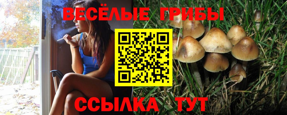 Галлюциногенные грибы ЛСД Ижевск