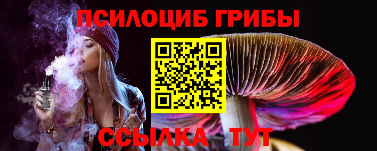 сколько стоит  Вход с VPN  Ижевск  Галлюциногенные грибы мицелий 